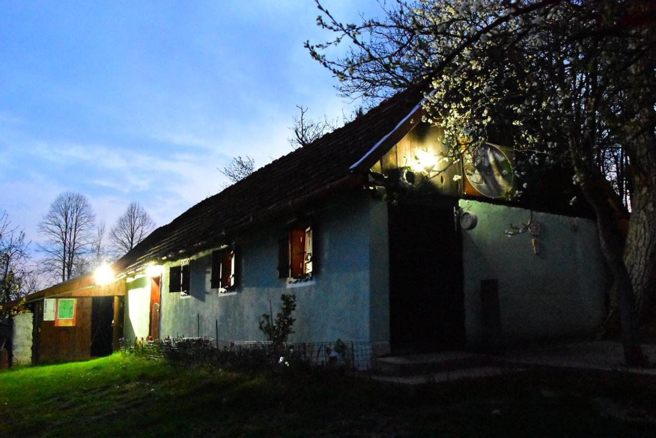 La Salasul Fermecat In Cheile Carasului Iabalcea Dış mekan fotoğraf