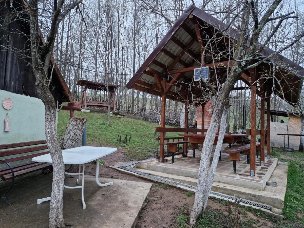 La Salasul Fermecat In Cheile Carasului Iabalcea Dış mekan fotoğraf