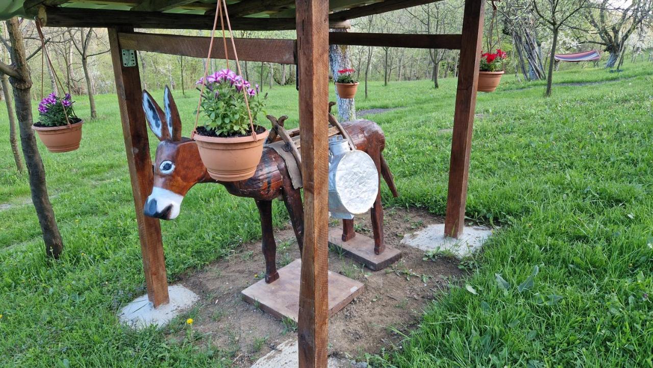 La Salasul Fermecat In Cheile Carasului Iabalcea Dış mekan fotoğraf